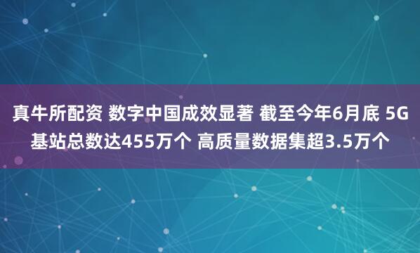 真牛所配资 数字中国成效显著 截至今年6月底 5G基站总数达455万个 高质量数据集超3.5万个