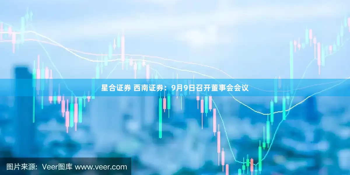 星合证券 西南证券：9月9日召开董事会会议