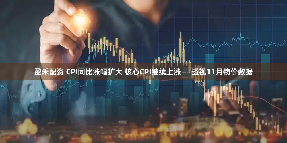 盈禾配资 CPI同比涨幅扩大 核心CPI继续上涨——透视11月物价数据