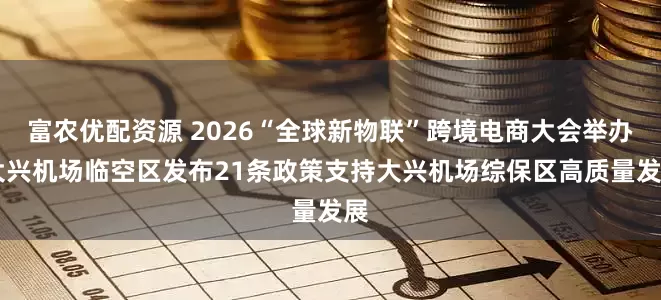 富农优配资源 2026“全球新物联”跨境电商大会举办 大兴机场临空区发布21条政策支持大兴机场综保区高质量发展