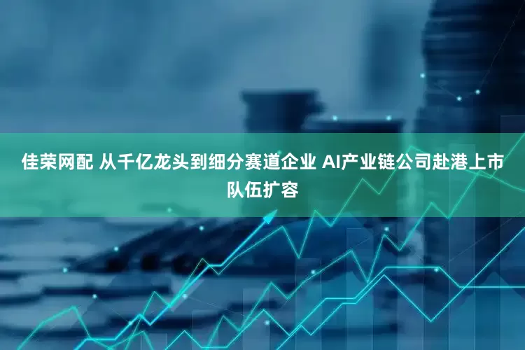佳荣网配 从千亿龙头到细分赛道企业 AI产业链公司赴港上市队伍扩容